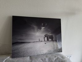 Bild Kind mit Elefant Acrylglas/Alu-Dibond