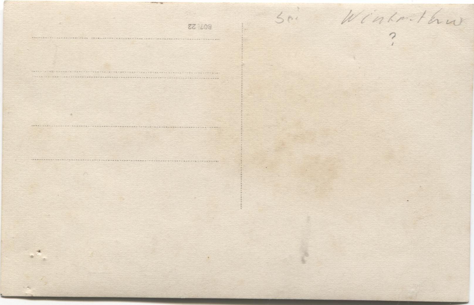 Cartoline postali: LANDWIRTSCHAFT/OBSTGARTEN 1920 ZH? – Usato da Wil SG venduto da Clanx 1