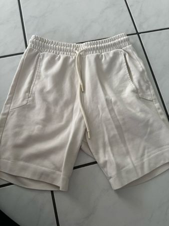 Zara shorts 