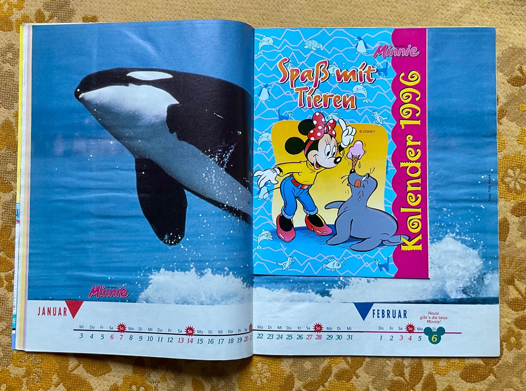 Fumetti: Minnie Maus Heft von 1996 – Usato da Endingen venduto da nathan05 6