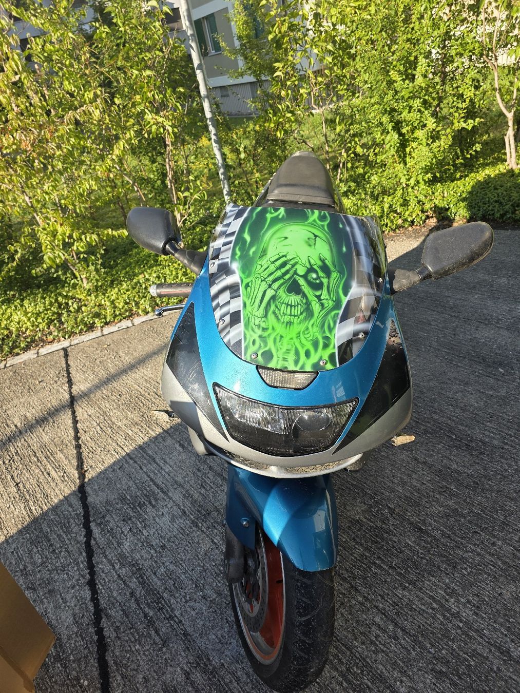 Kawasaki Route: Kawasaki ZX-9R – D'occasion à Zürich par Valj25 3