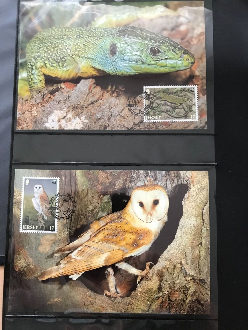 Tutti i francobolli: WWF Jersey 1989 Eule Frosch Salamander Satz Maximumkarten – Nuovo (secondo la descrizione) da Liestal venduto da schnueps 1