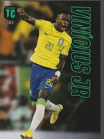TCG Card PANINI TOP CLASS 2023 Team Mate 102 VINICIUS JR