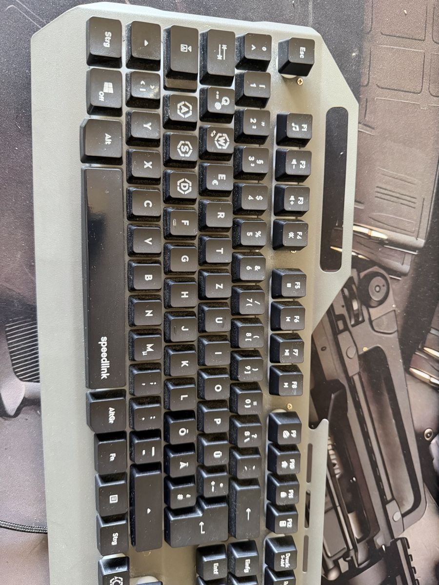 Tastiere: Taylo Tastatur  – Usato da Luzern venduto da sof_m7x9