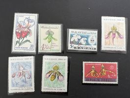 (KOPIE) Orchideen diverse Länder** Luxus (B213)