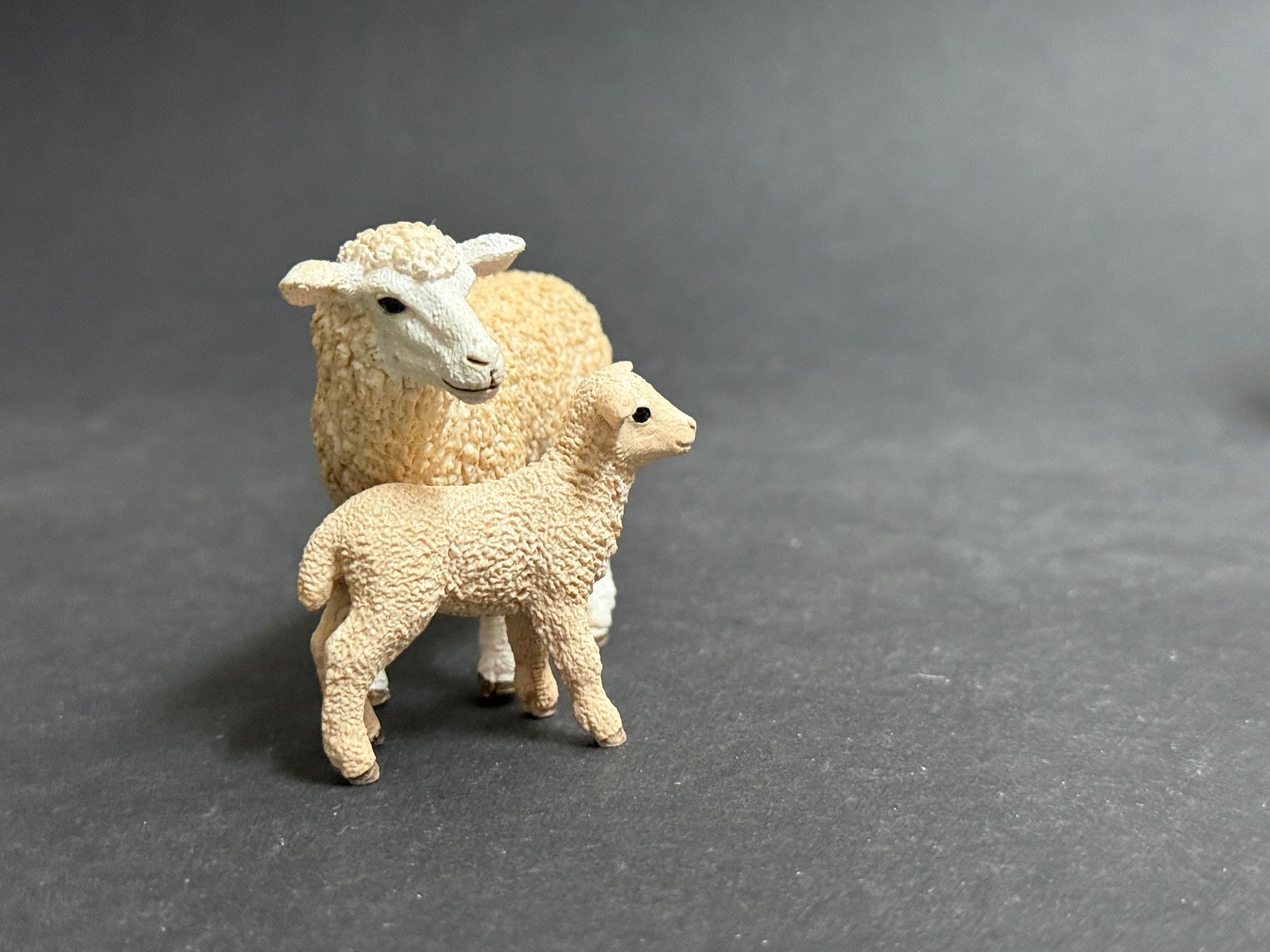 Schleich Statuette: Schleich Schaf mit Lamm Familie – Usato da Ennetbaden venduto da mapa05 6