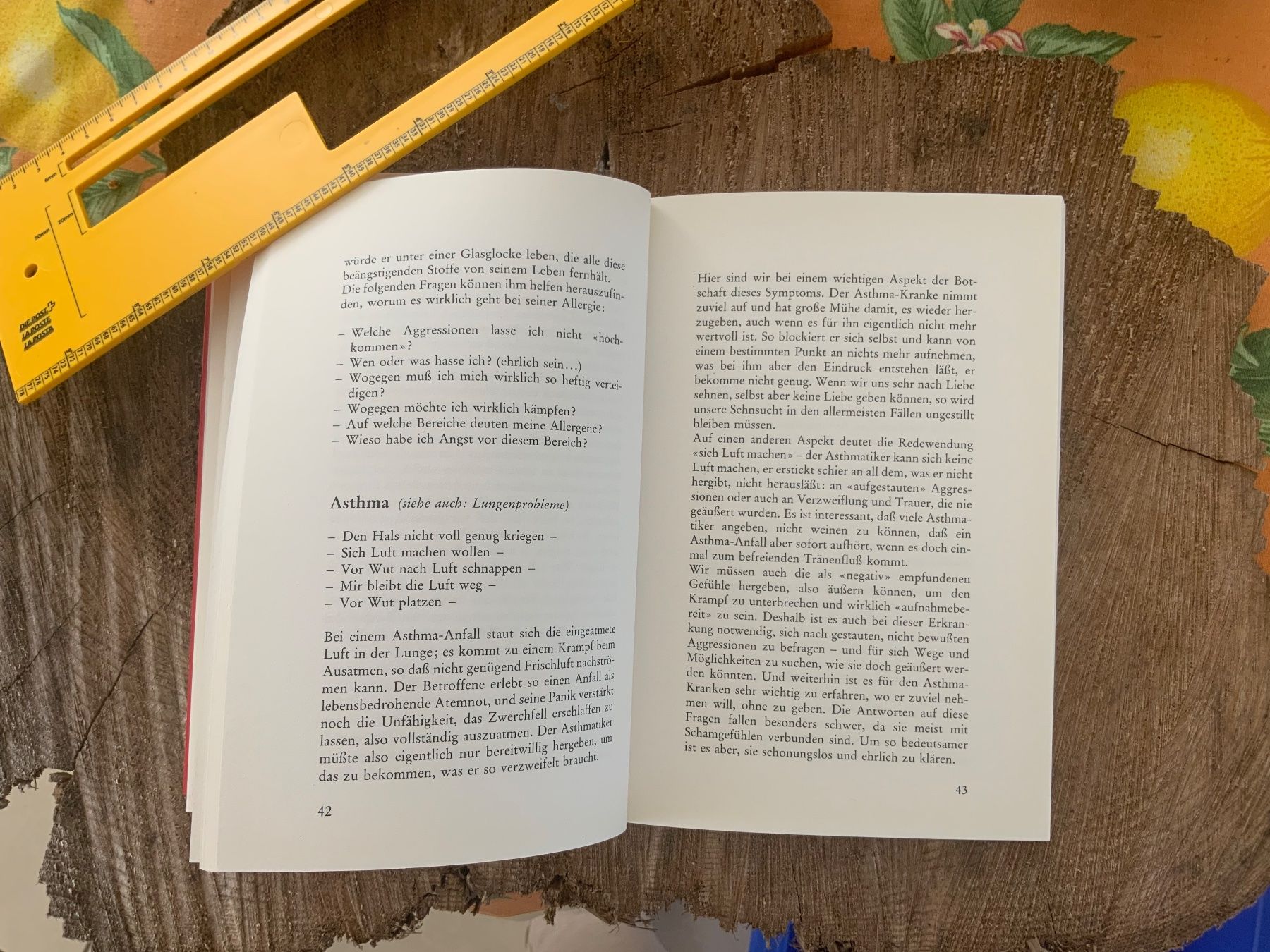 Libri: Botschaft des Körpers - Lis Lustenberger – Usato da Sempach Station venduto da blackhors 7