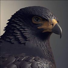 Profile image of Black-Falcon