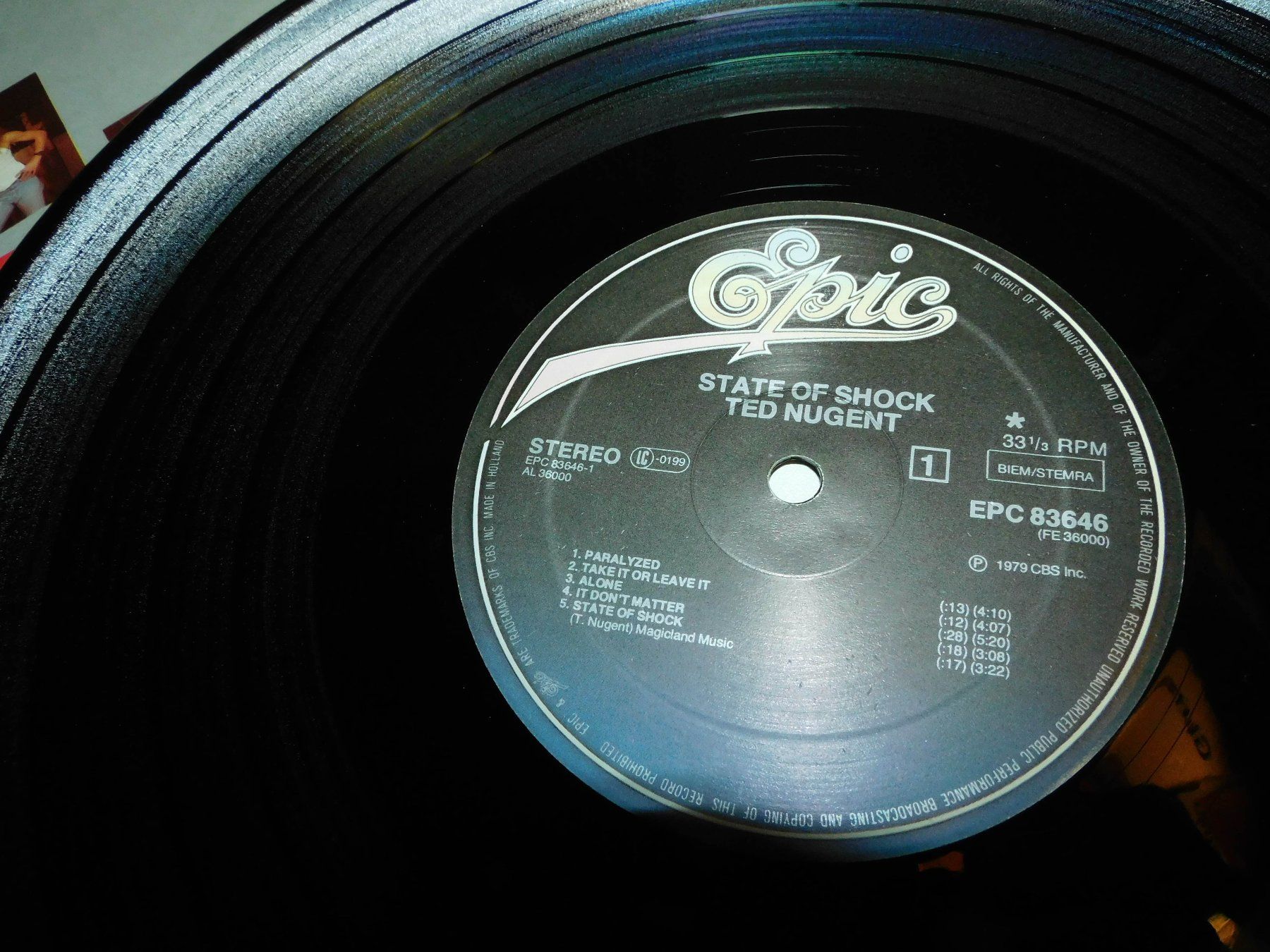 Dischi in vinile: Lp - Ted Nugent - 1979 Schallplatte  State – Usato da Sursee venduto da 76 3