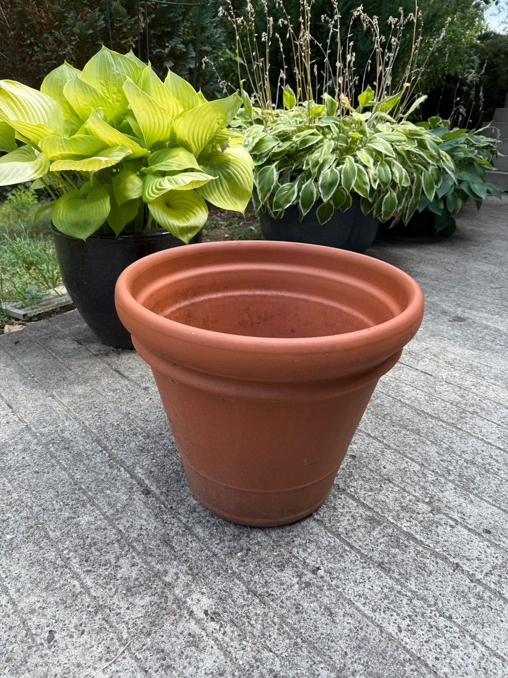 Blumentöpfe: Riesiger winterharter Blumentopf Terrakotta – Gebraucht aus St. Pantaleon von Ymanu