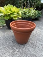 Riesiger winterharter Blumentopf Terrakotta
