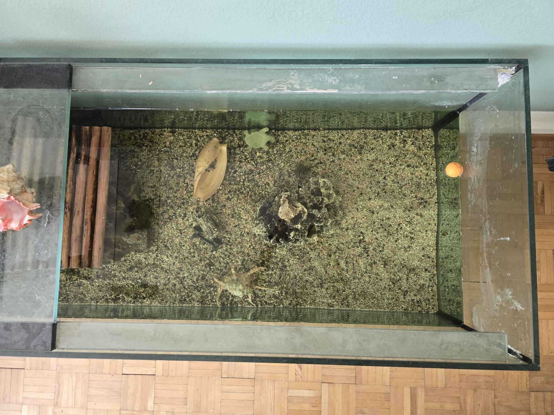 Acquari: Used Aquarium - 200x60x60cm – Usato da Zürich venduto da jjr_62ng 5