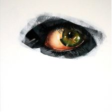 Profile image of perfectus