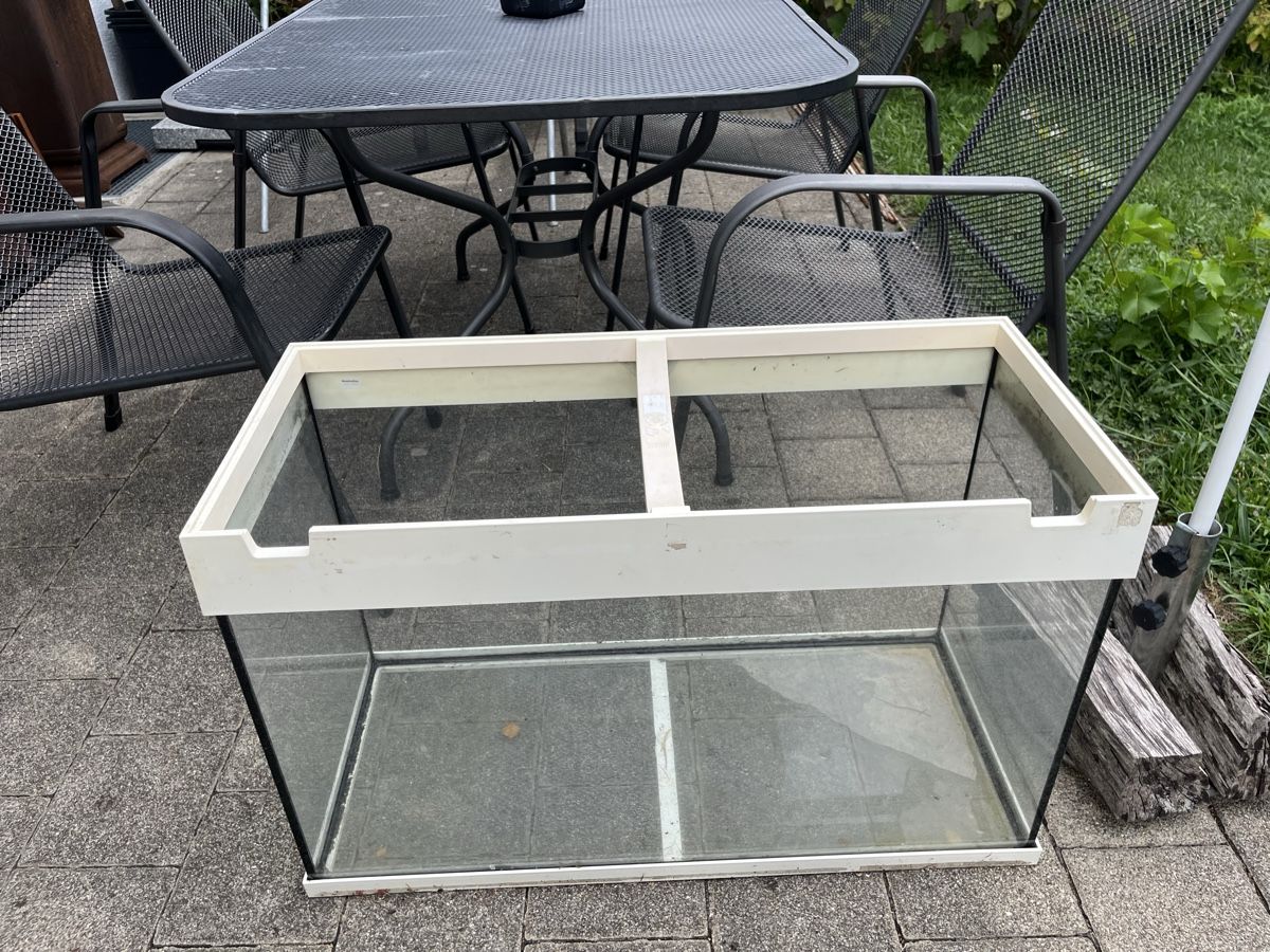 Terrarium: Terrarium Glas weiss 100cm – Gebraucht aus Tuggen von wir_pds8