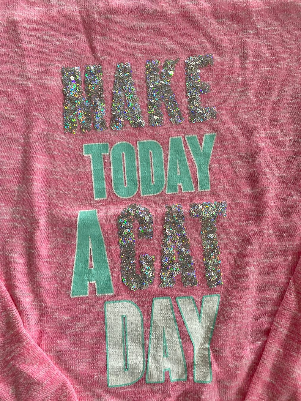 Maglioni & Felpe: Mädchenshirt Gr. 176, rosa Glitzer – Usato da Dielsdorf venduto da sissy04 1