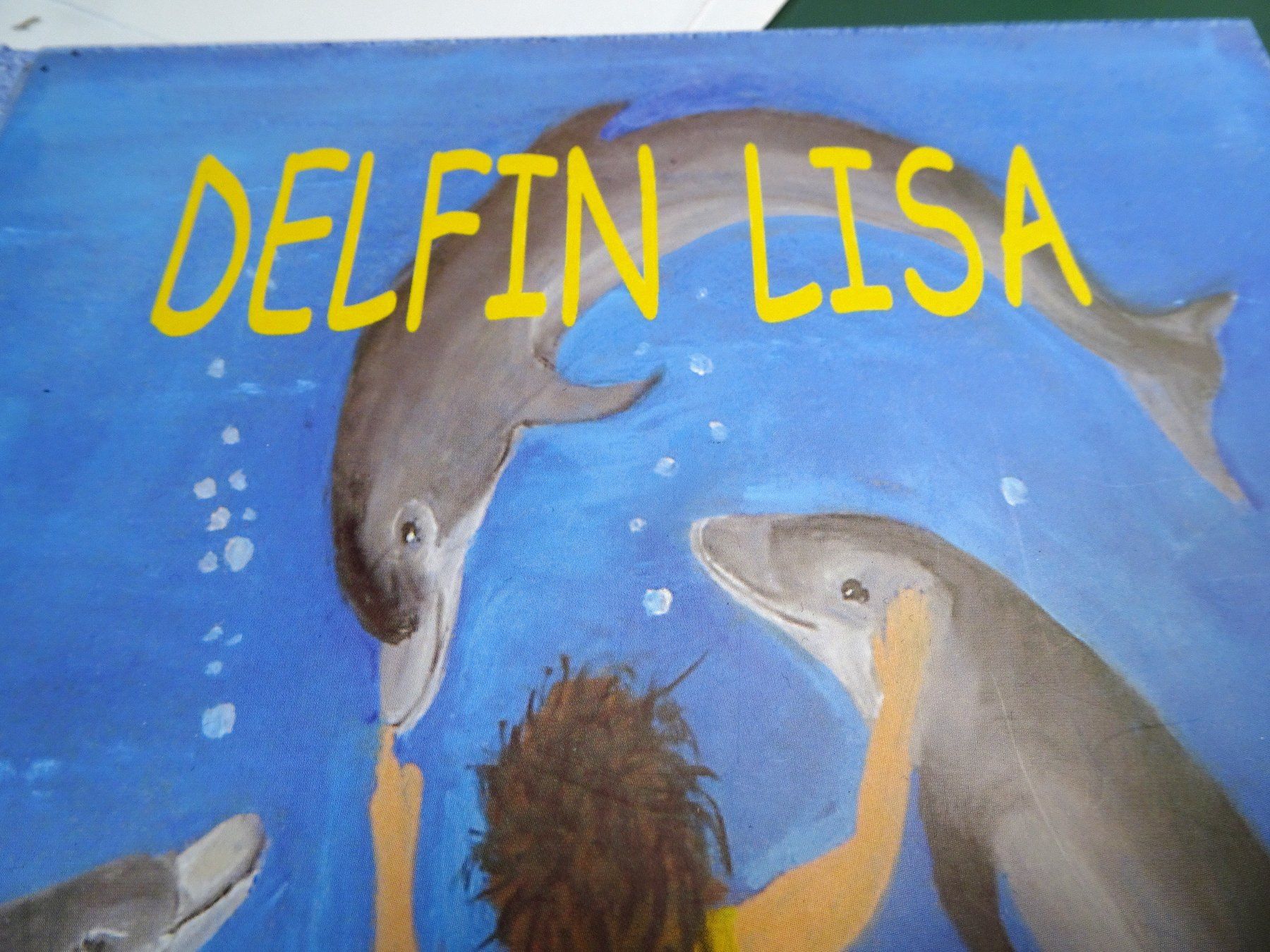 Livres: Delfin Lisa,  von Ada Lareida – Neuf (Voir description) à Grüt (Gossau ZH) par spitzig 5