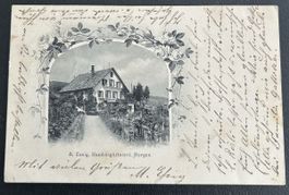 Horgen A.Essig Handelsgärtnerei