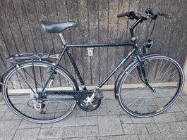 Herrenvelo 