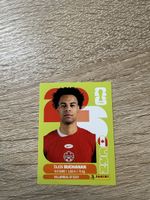 Panini Tajon Buchanan CAN17