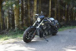 Harley-Davidson Night Rod Special– 2007er Kultmodell, 240mm