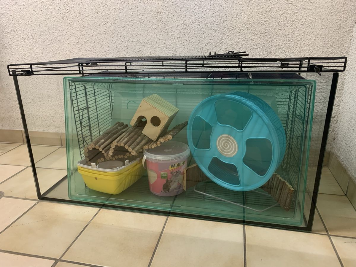 Gabbie, trasporto & Sicurezza: Cages pour hamster avec accessoires – Usato da Lausanne venduto da cloleman 4