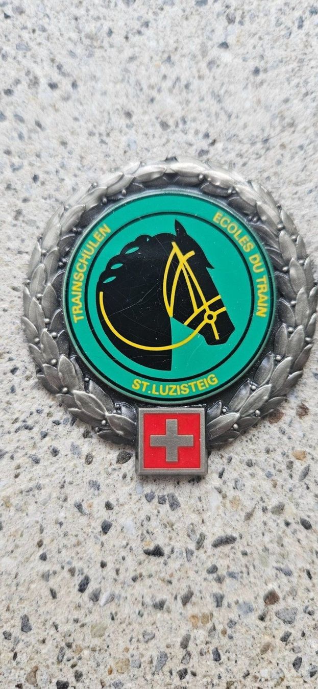 Schweizer Armee Placchette & Badge: *** Beretemblem Trainschulen  Schweizer Armee *** – Usato da Riedholz venduto da fr_sIruP