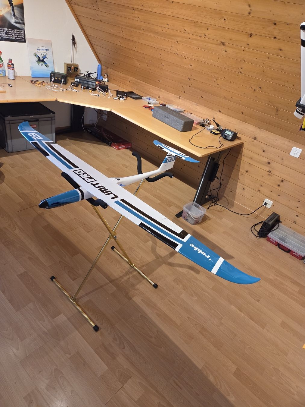 Robbe Modellismo RC: Robbe Limit Pro mit Leomotion Motor – Usato da Besenbüren venduto da oli_6ts9