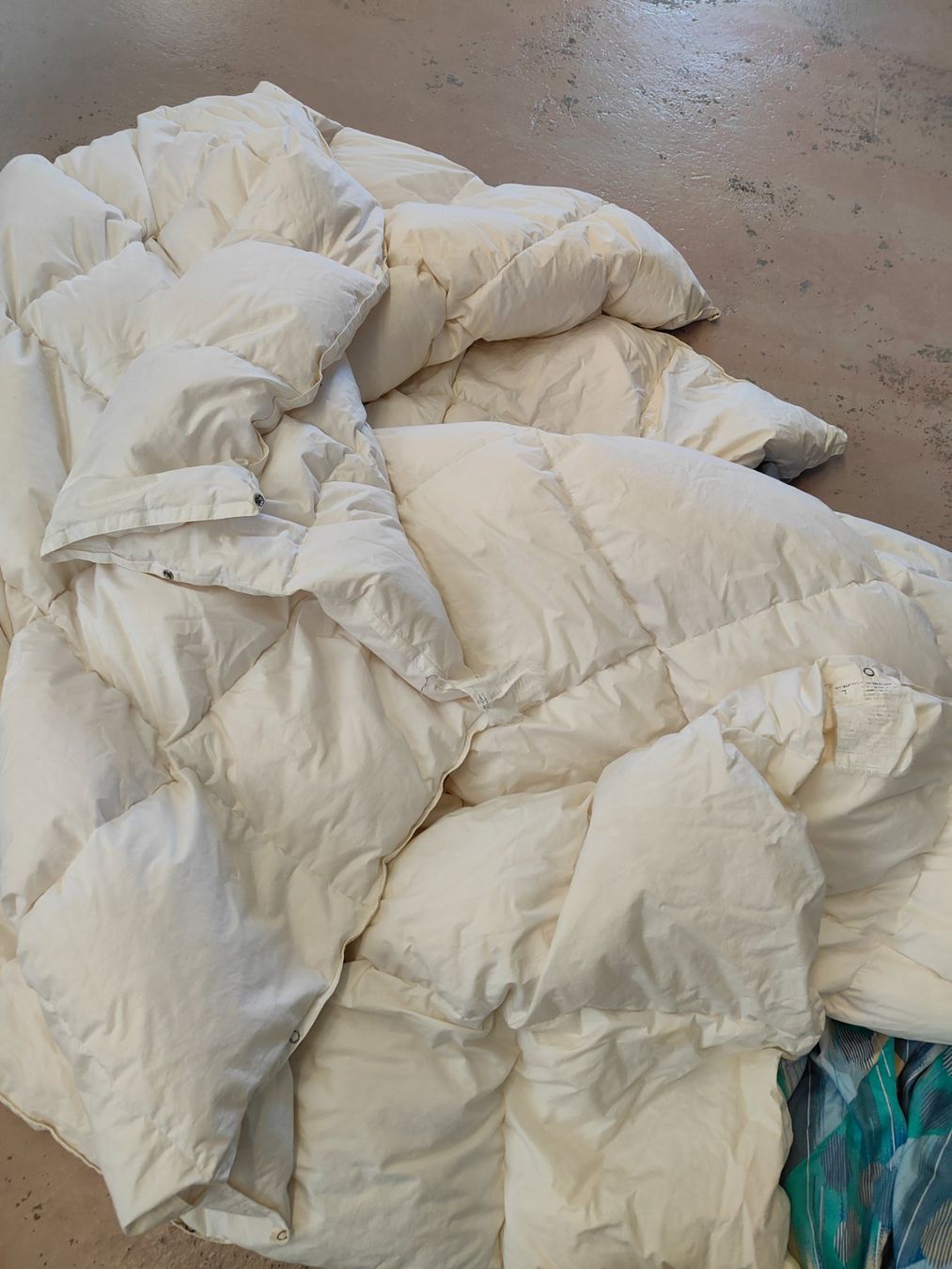 Coperte: 4 Saison Daunenduvet – Usato da Olten venduto da Mezopotamya 4
