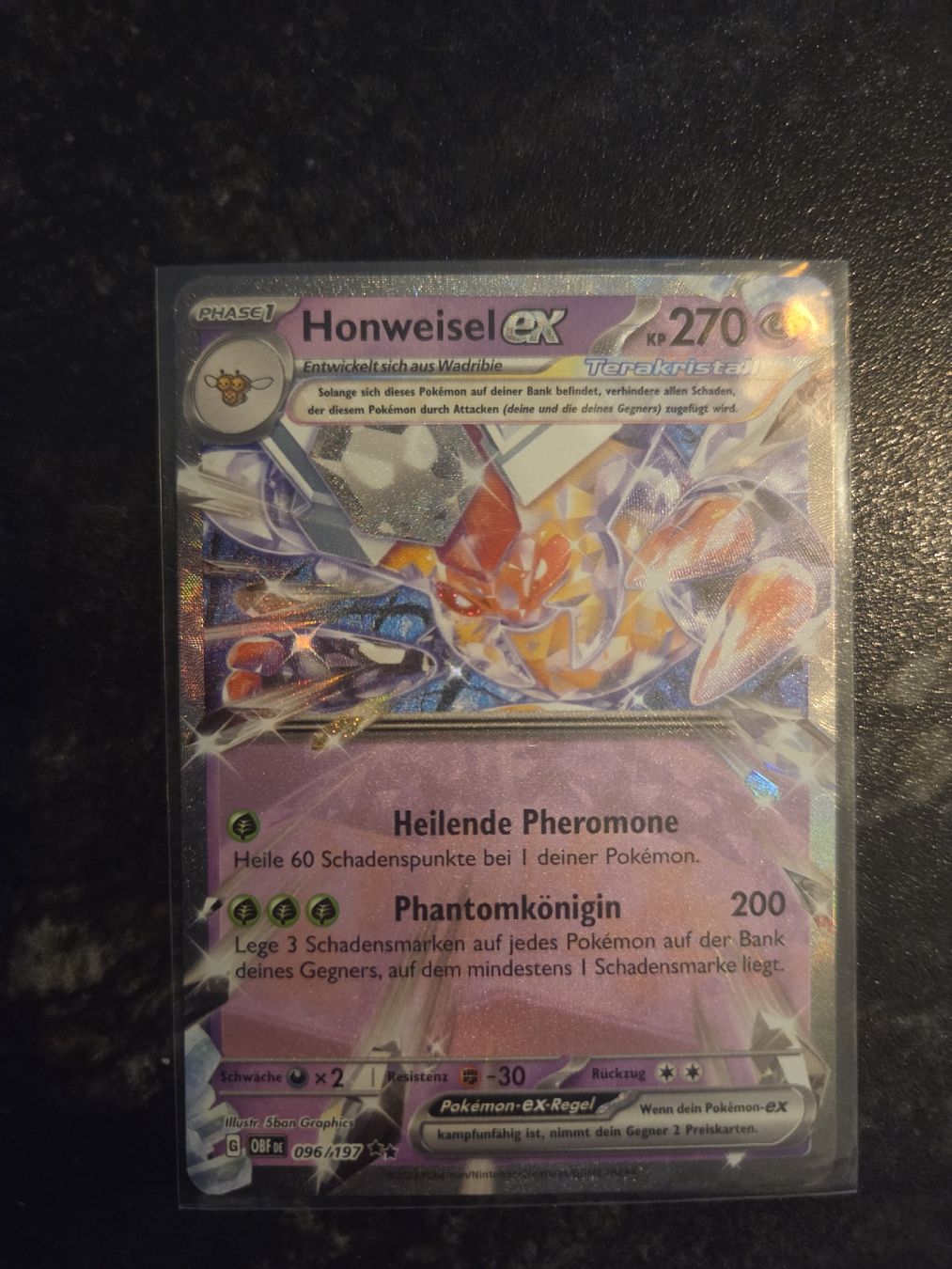 Pokémon Carte collezionabili: Pokemon Karten Honweisel EX und Fruyal EX – Nuovo (secondo la descrizione) da Zufikon venduto da Houdiboudi 1