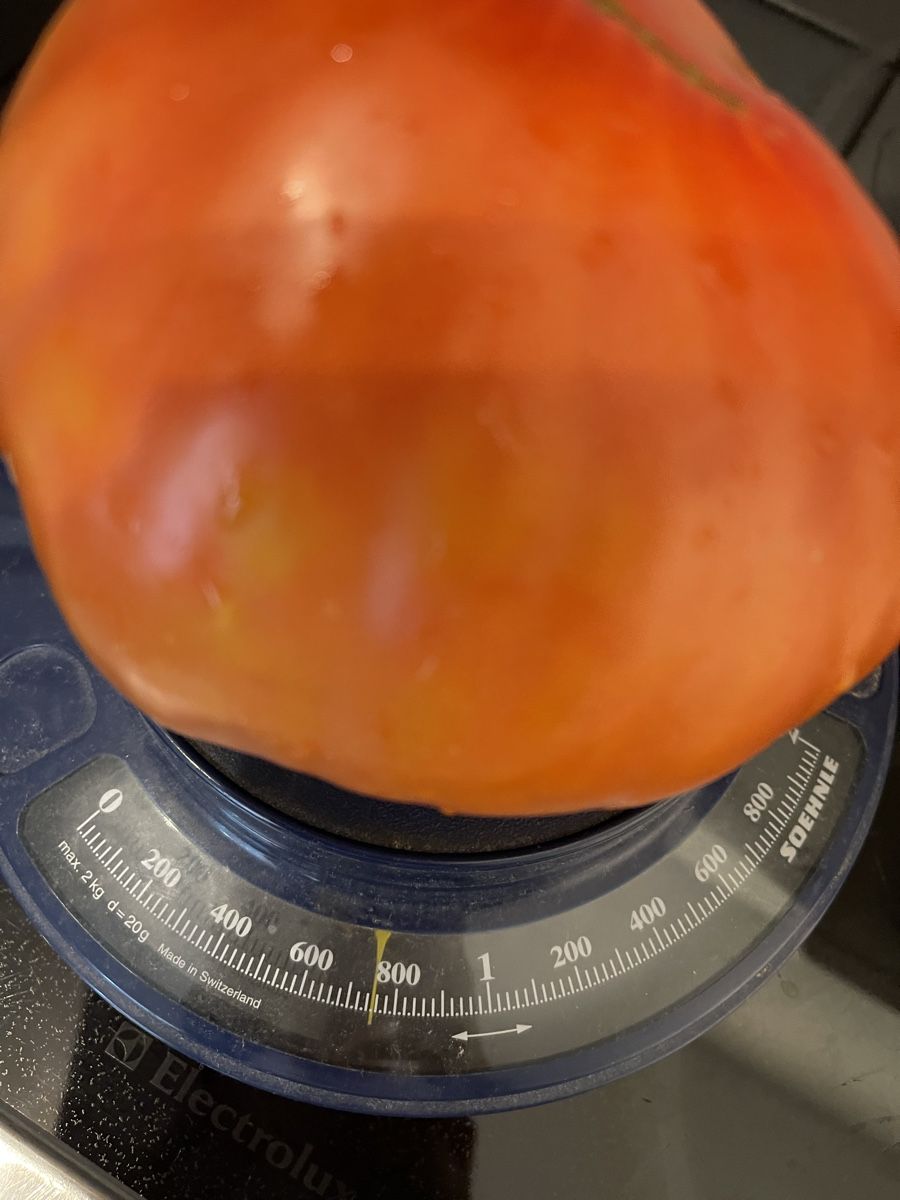 Piante & sementi: Graines de tomate cœur de bœuf – Nuovo (secondo la descrizione) da MARLY venduto da AISLEE