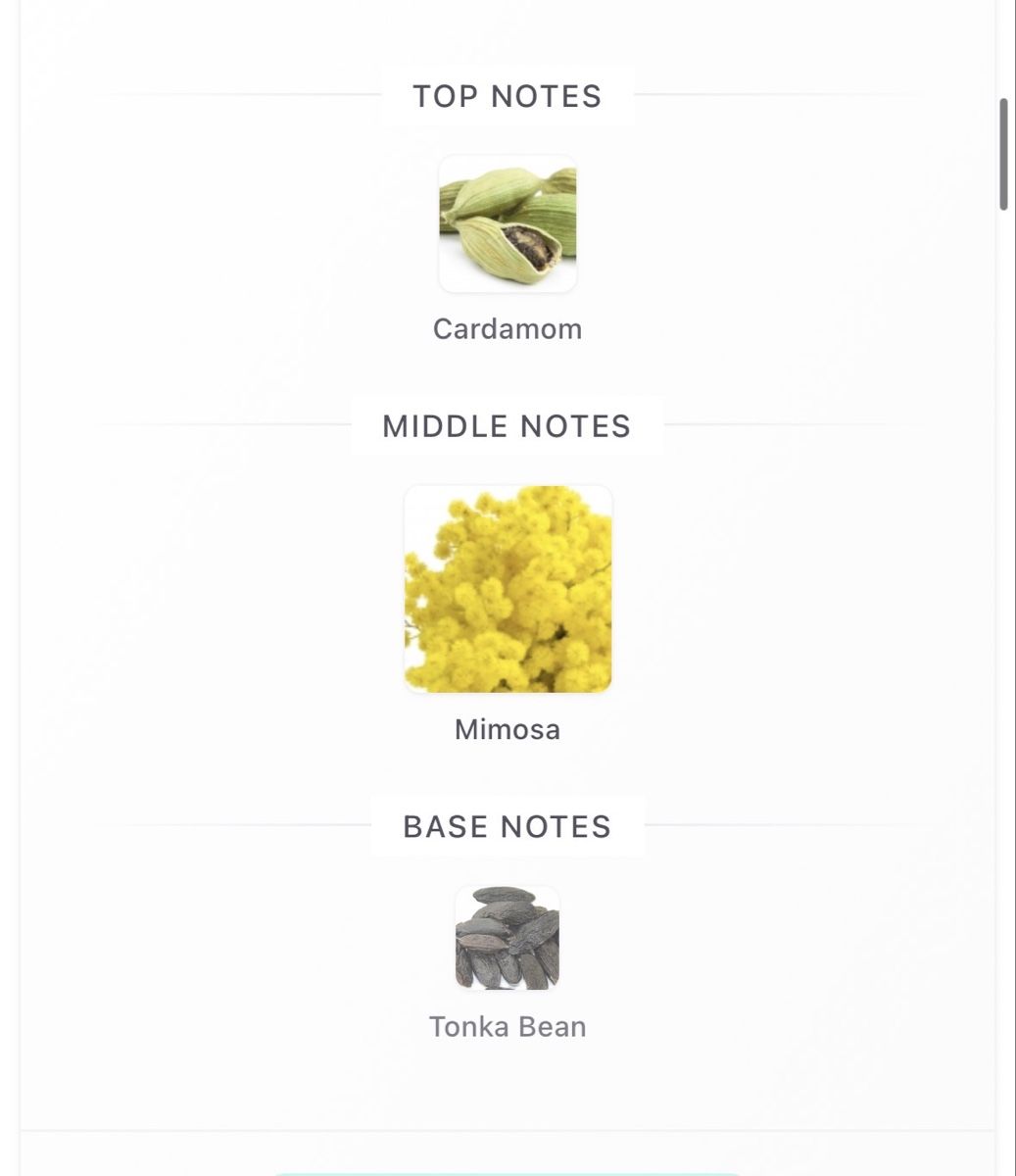 Jo Malone Profumi & Eau de Toilette: Jo Malone Mimosa & Cardamom Cologne 30ml  – Usato da Zürich venduto da Thetimtam 5