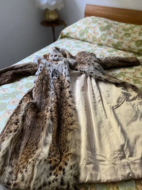 Giacche: Chat Lince fourrure  – Usato da Meyrin venduto da docmac 2