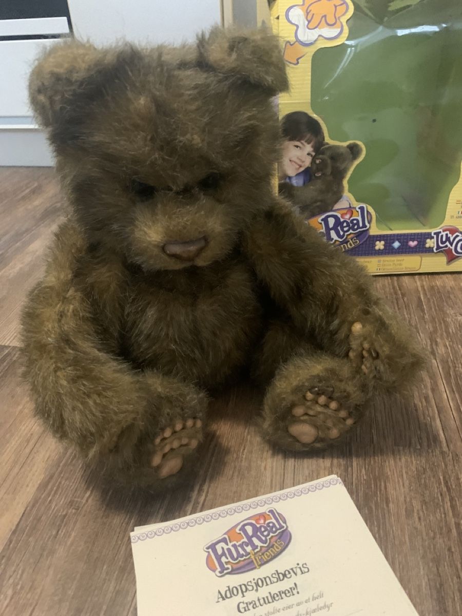 FurReal Spielzeuge: FurReal Friends Braunbär – Neu (gemäss Beschreibung) aus Emmen von Bgucci_girl 2