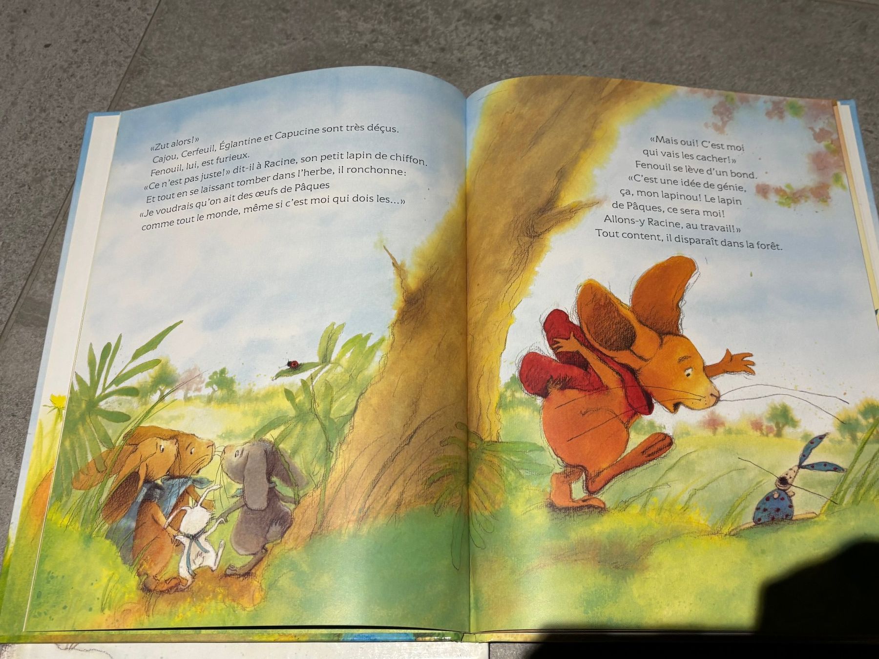 Libri: Livre Fenouil joyeuses Pâques – Usato da Salvenach venduto da gwenwywar 2