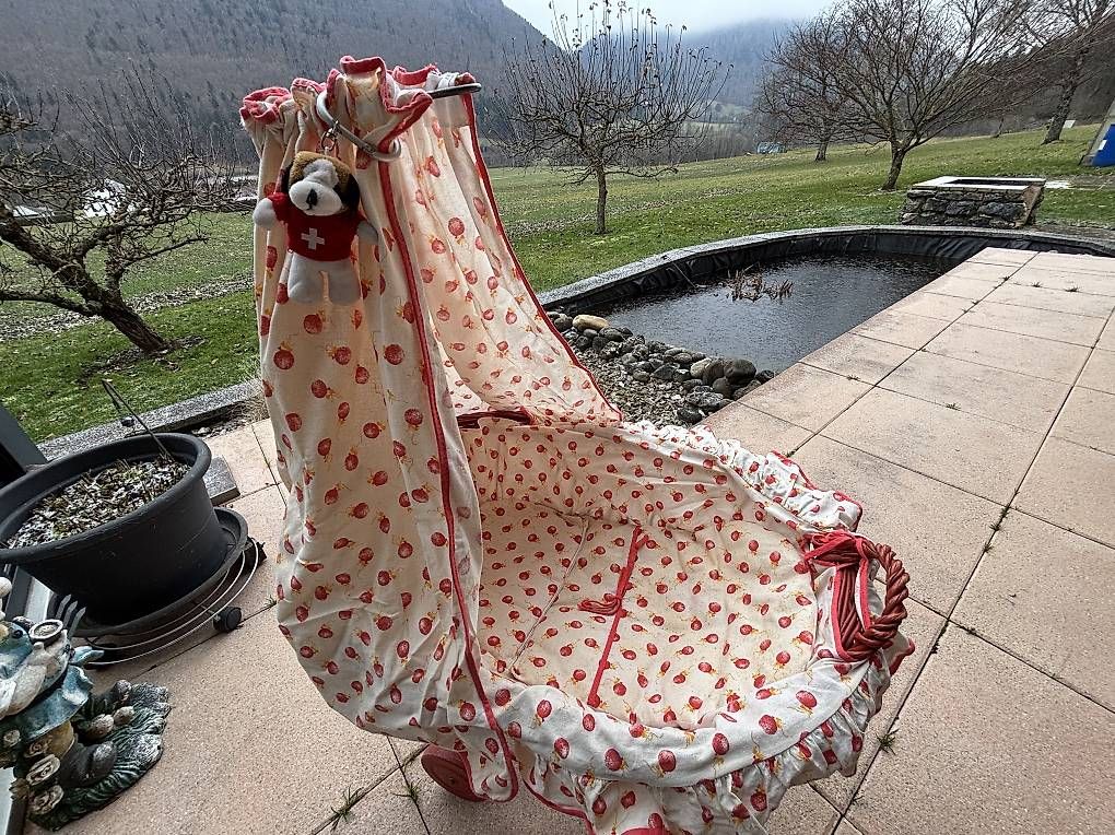 Giocattoli: Puppen - Stubenwagen – Usato da Rapperswil BE venduto da henslerst 3