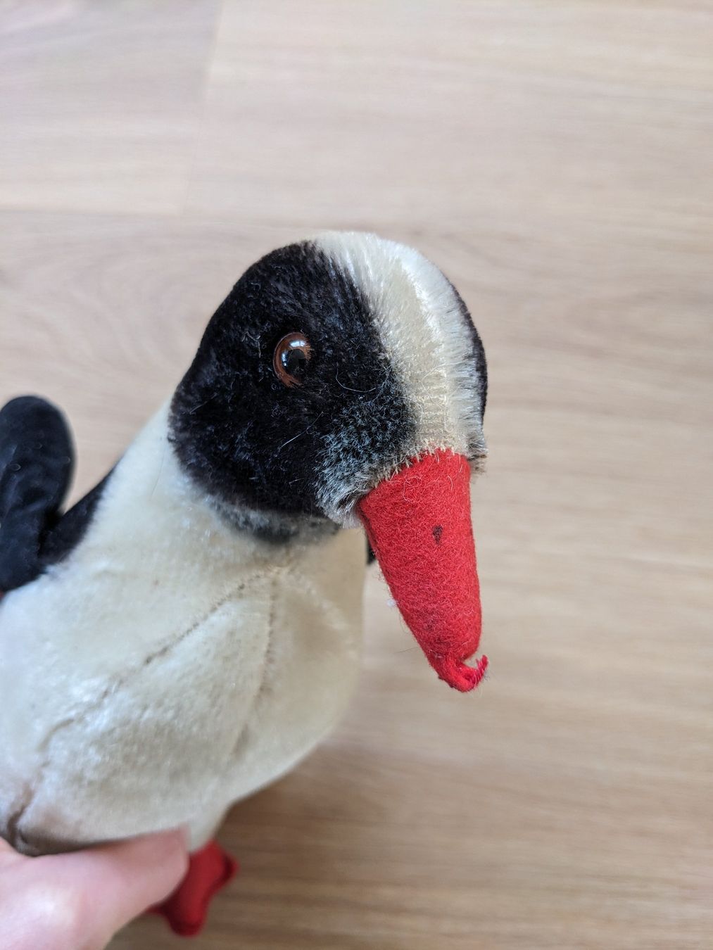 Steiff Spielzeuge: antiker STEIFF Pinguin, stehend (23cm) – Gebraucht aus Lengnau AG von Nathi88 8