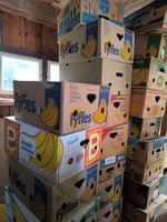 Bananenschachteln Umzugskarton