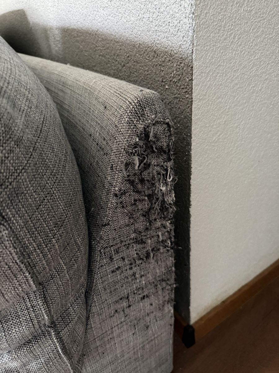 Ikea Sofas: IKEA Ecksofa Grau – 261 × 161 cm – Gebraucht aus Rümlang von laurasecondhand 2