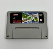 Bugs Bunny Rabbit Rampage (Super Nintendo Snes)