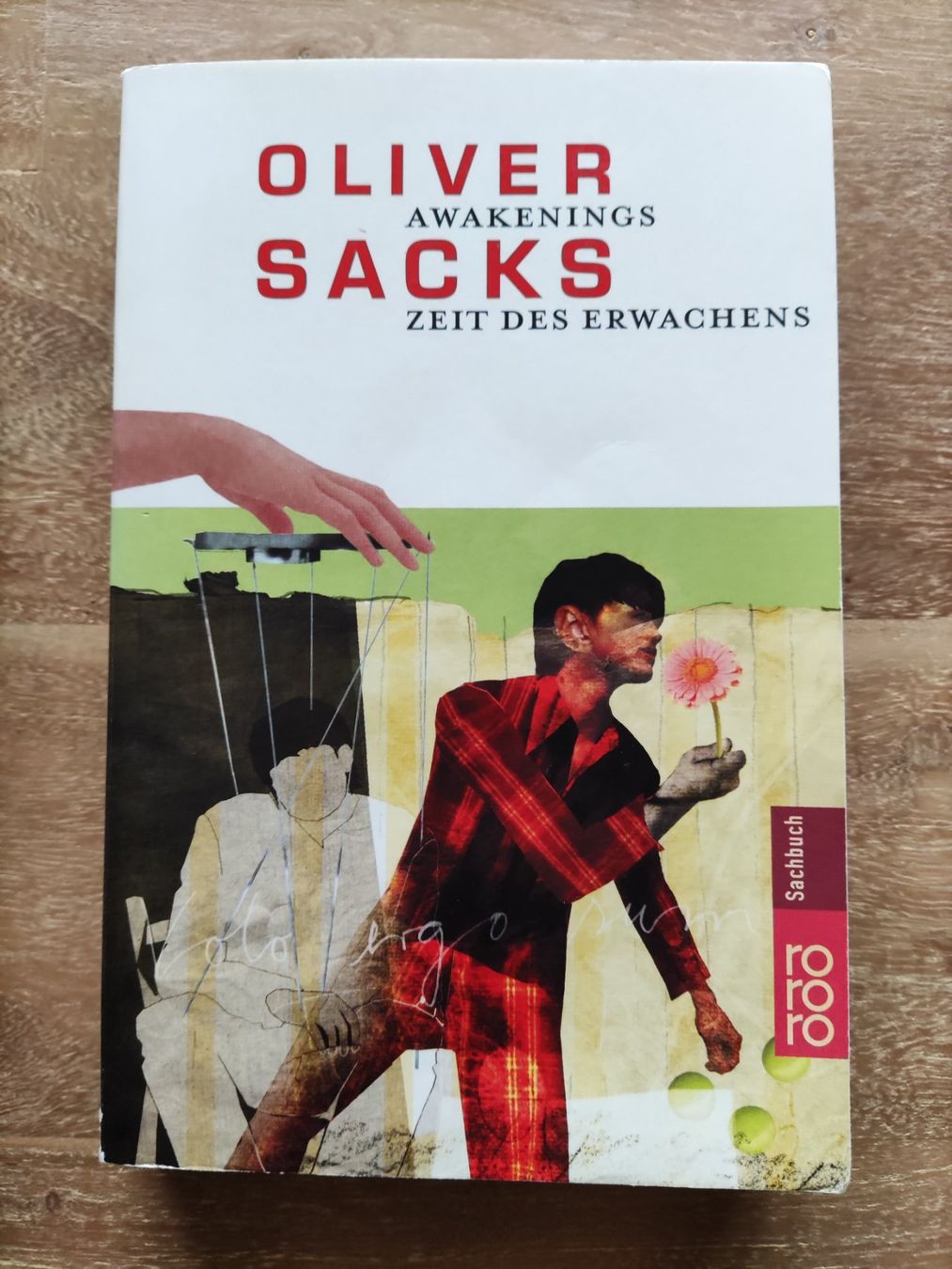 Libri: Buchpaket Oliver Sachs – Usato da Arboldswil venduto da Ve1774