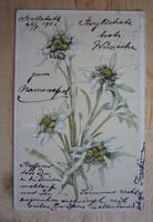 Edelweiss, 25.7.02