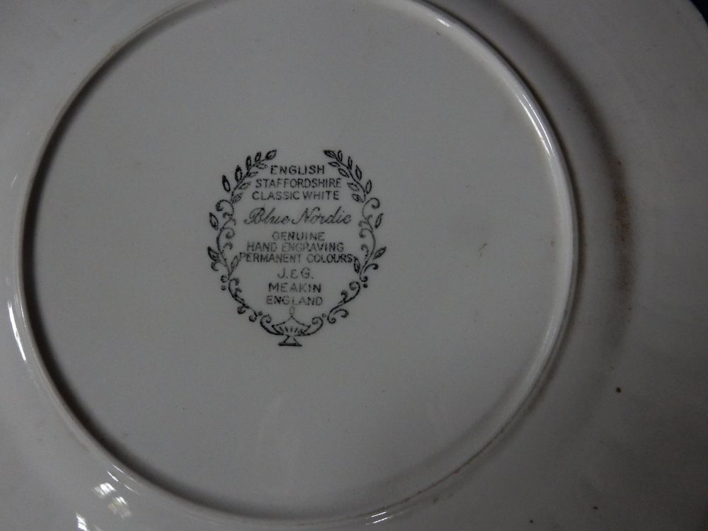 Teller: 2 antike Teller blau-weiss English Staffordshire Blue Nordic – Gebraucht aus Jona von simongarden 3