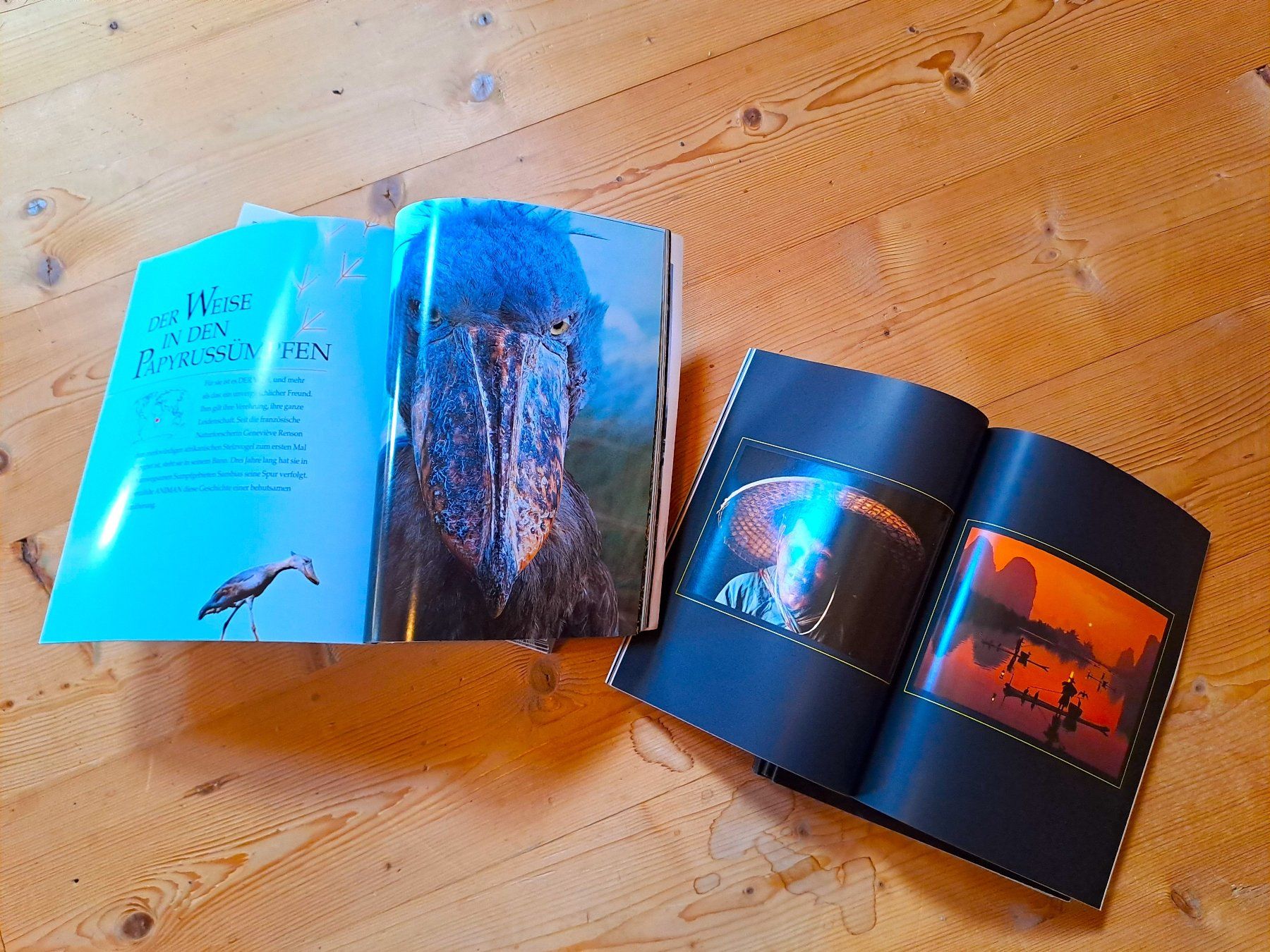 Riviste & Magazine: Animan Hefte, 27 Ausgaben 1994-1999 – Usato da Ebnat-Kappel venduto da Jafrick 2