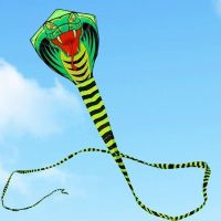 Grand cerf-volant serpent cobra