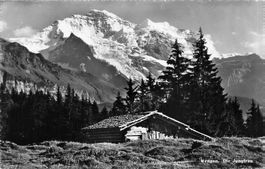 Wengen (BE) Jungfrau mit Alphütte