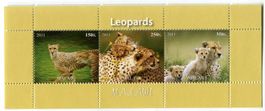 Block "Gepard". Malawi