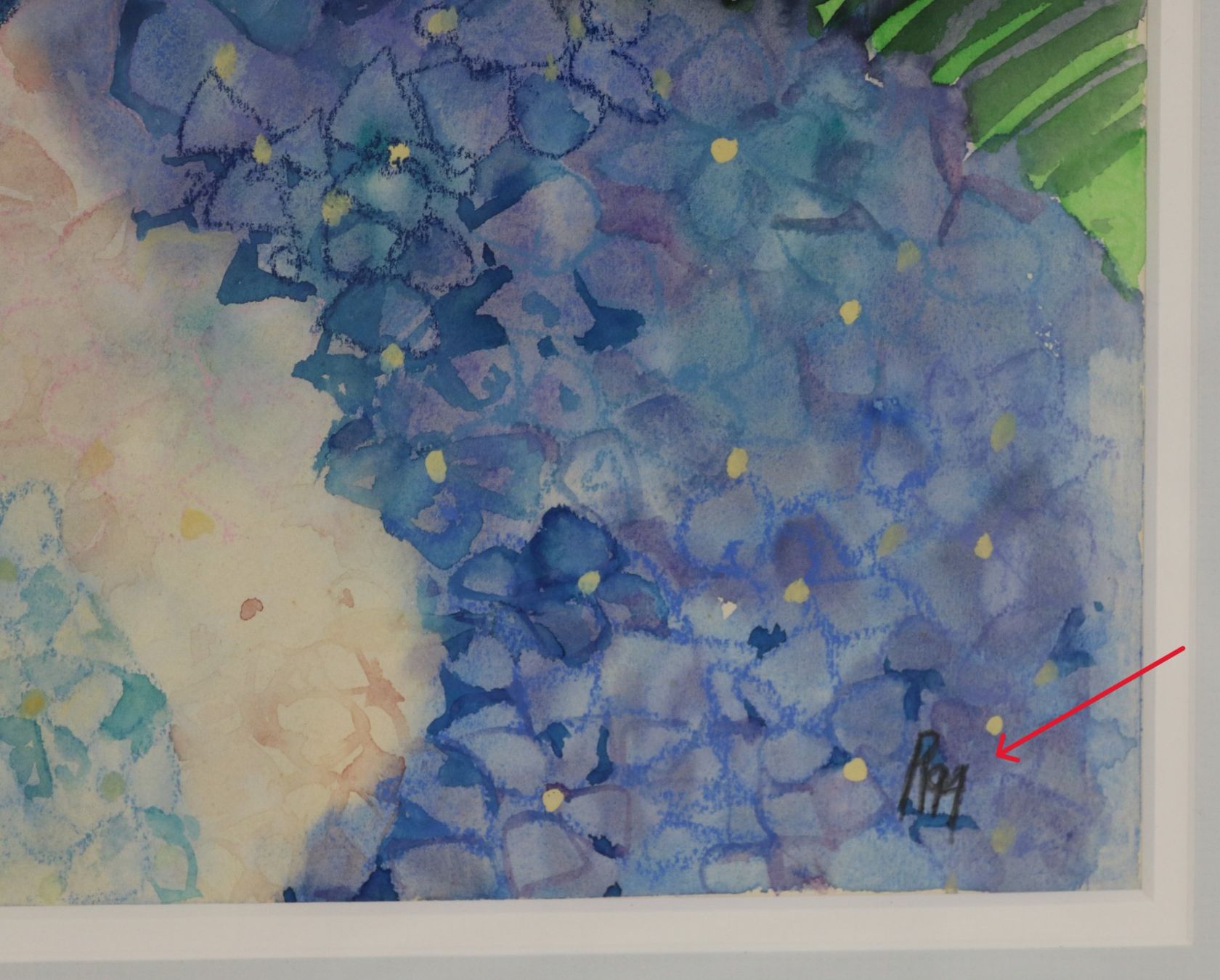Dipinti: Aquarell Gemälde Hortensien – Usato da Volketswil venduto da brockipfannenstil 6