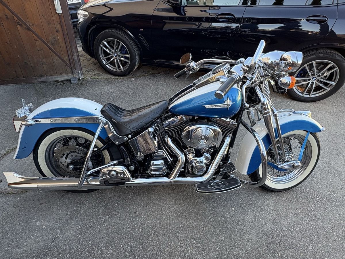 Harley-Davidson Chopper: Harley Davidson FLSTS Softail Springer – Usato da glattbrugg venduto da cheche