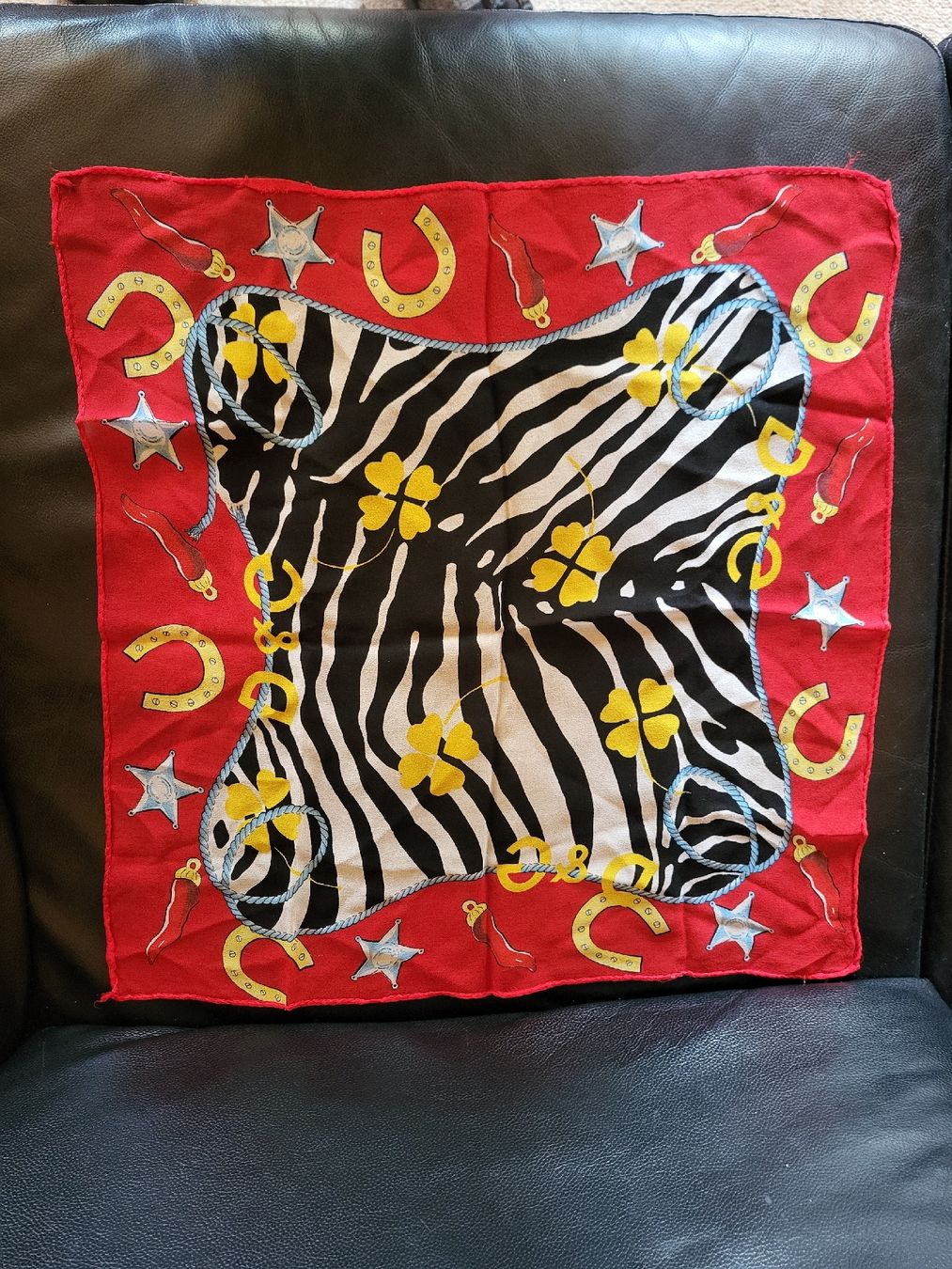 Dolce & Gabbana Foulards & écharpes: D&G Schal – D'occasion à Zweisimmen par Adorable 1