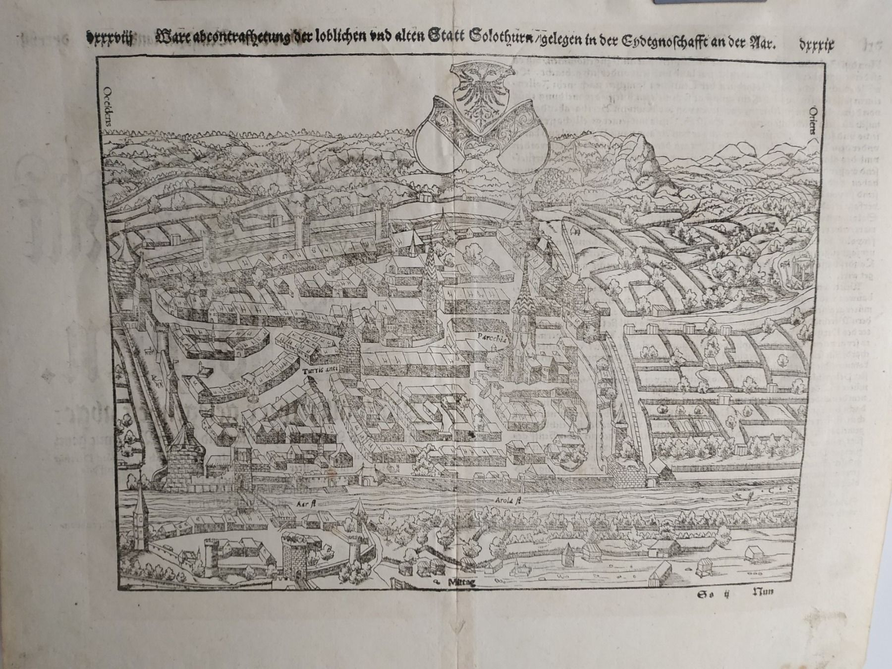 Incisioni: SOLOTHURN - Soletta  - 1550 – Usato da Sorengo venduto da 74in